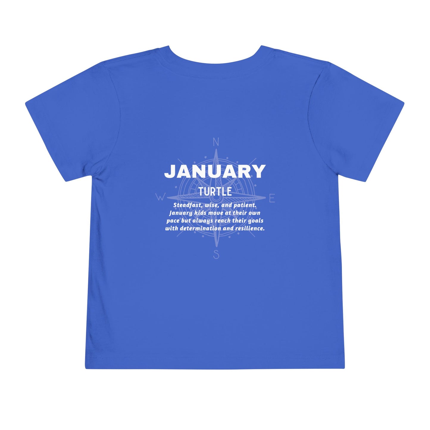 January Turtle Toddler TShirt Kids Birth Month Sea Life Tee