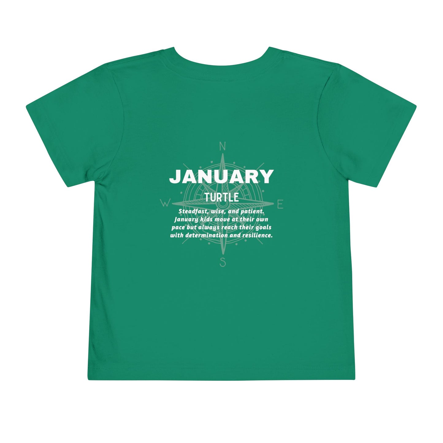 January Turtle Toddler TShirt Kids Birth Month Sea Life Tee