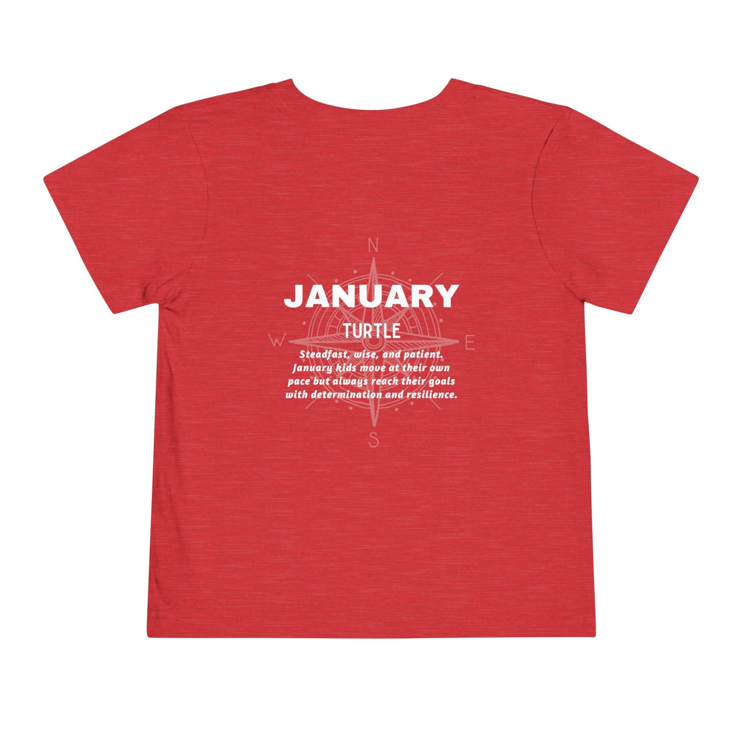 January Turtle Toddler TShirt Kids Birth Month Sea Life Tee