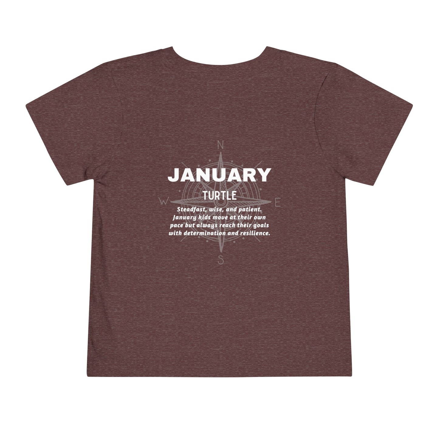 January Turtle Toddler TShirt Kids Birth Month Sea Life Tee