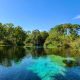 Weeki Wachee River