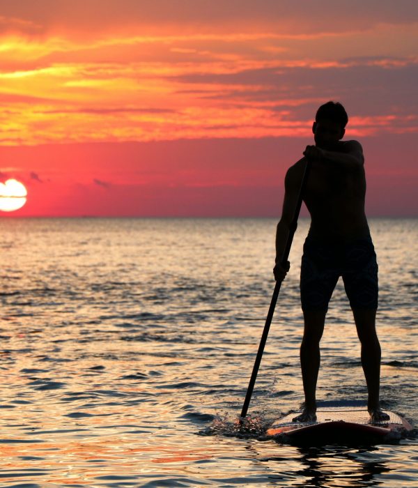 sealifespy-sup-paddelboard-sunset